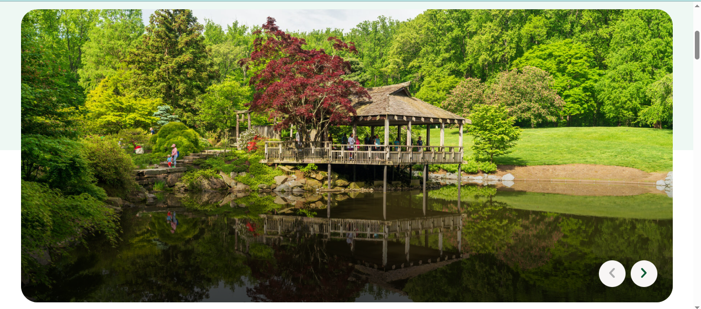 Japanese style pavilion beside a pond with a red maple tree in a landscaped garden