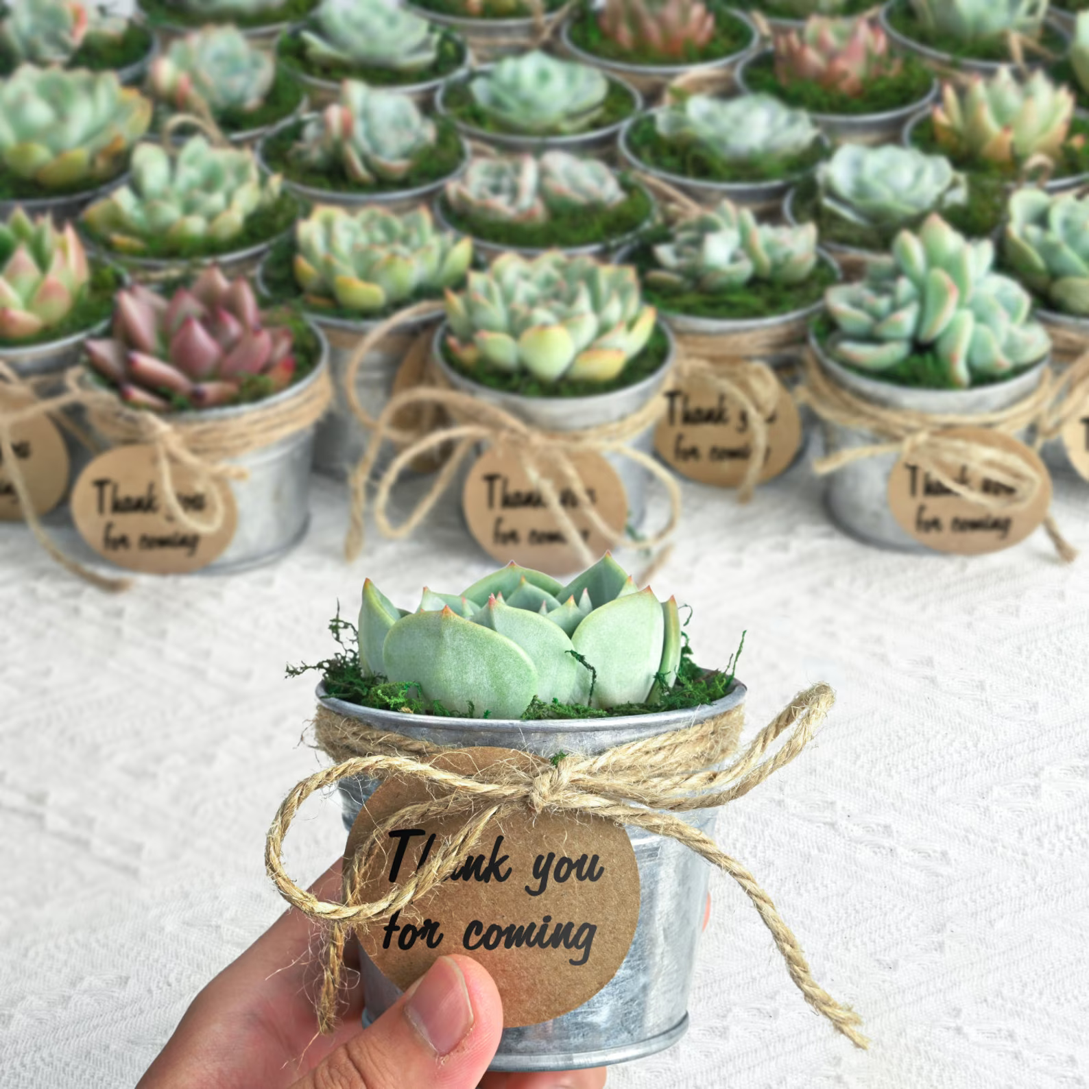 Potted succulent wedding favours in jars with thank you for coming tags