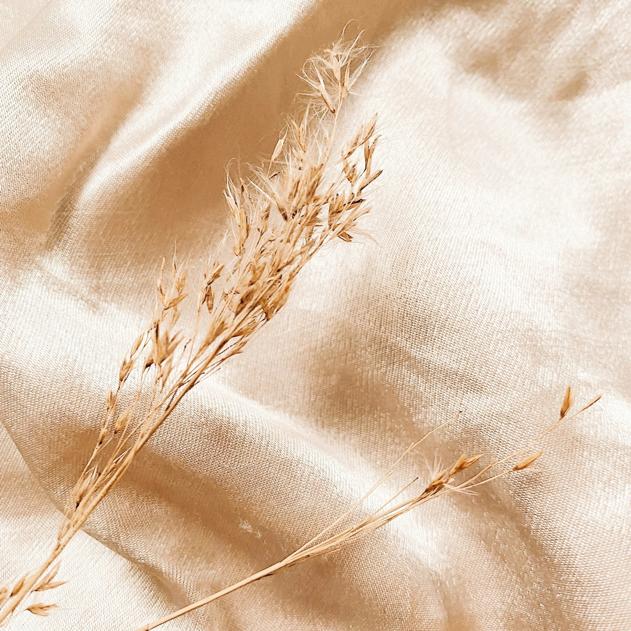 Dried grasses resting on champagne coloured silk fabric