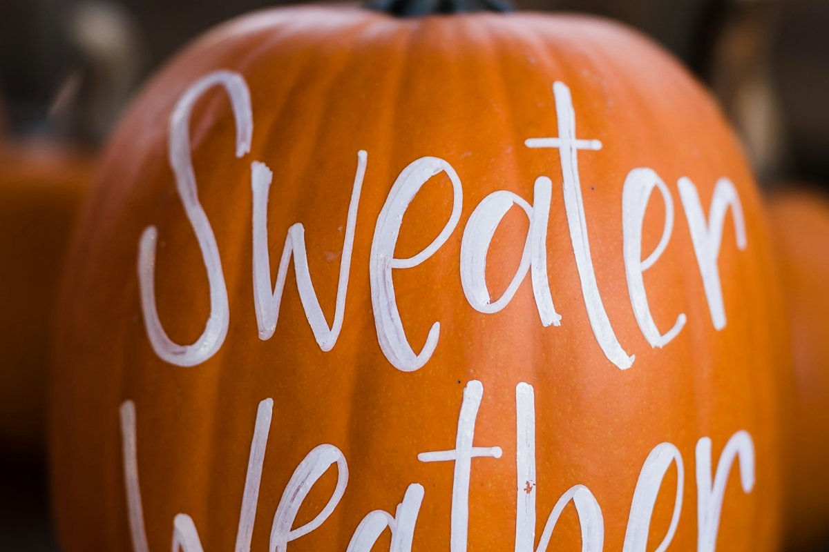 Painted pumpkins from fall team-building ideas that don't feel forced