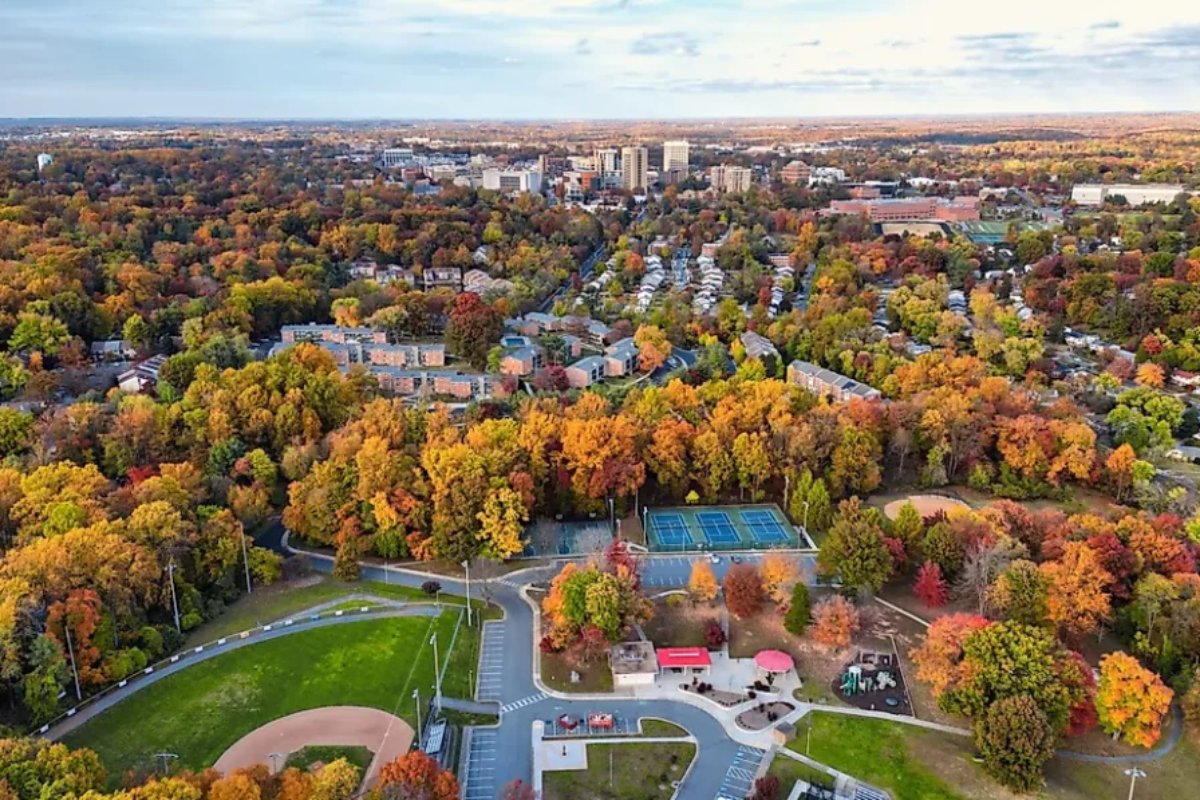 Fall Family Outings in the DMV: My Get-Out-More Hit-List for 2026