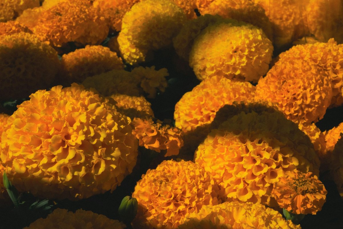 Honoring Día de los Muertos: A Respectful Guide to the Day of the Dead