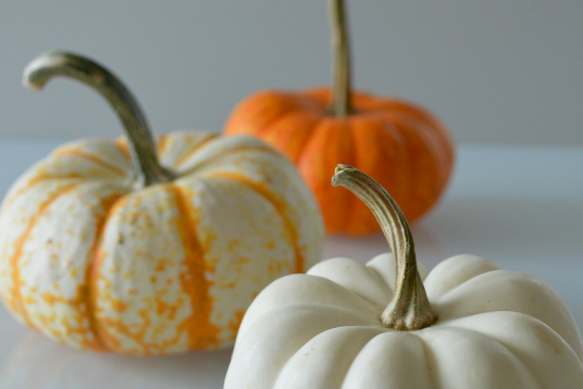 Fall Team-Building That Doesn’t Feel Forced (Start With Pumpkins)