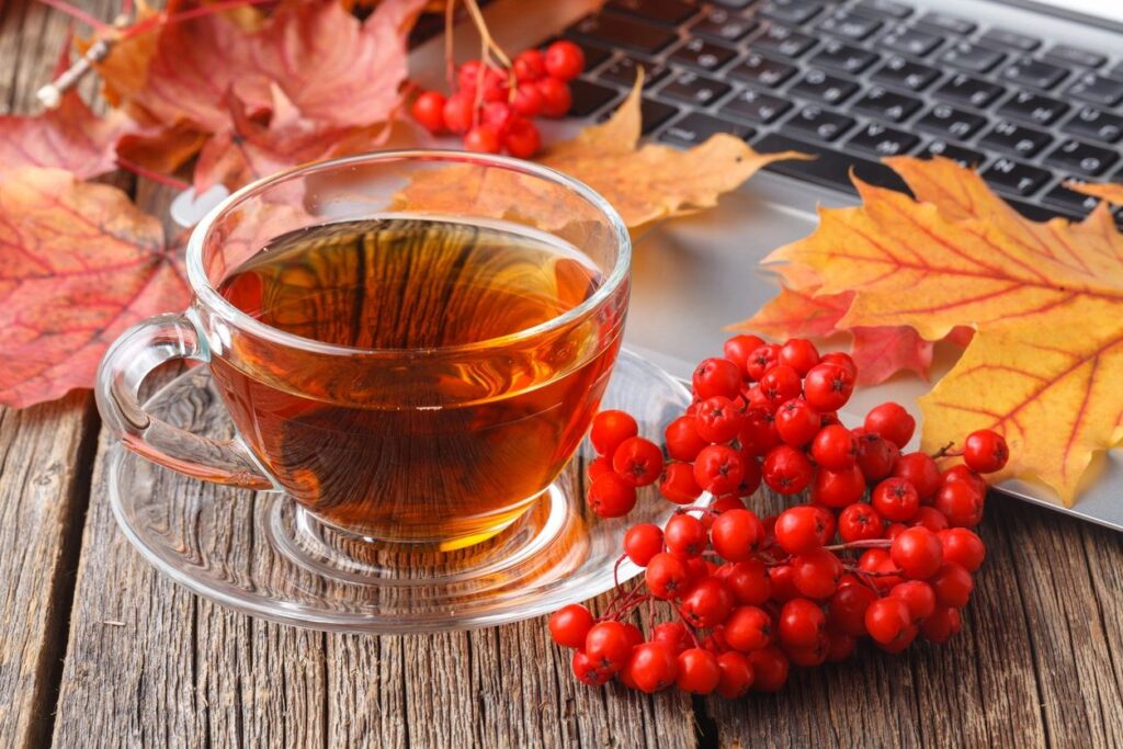 Cup of tea with autumn leaves and berries — a calm moment before you host holiday family dinner